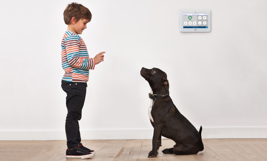 Little River security systems